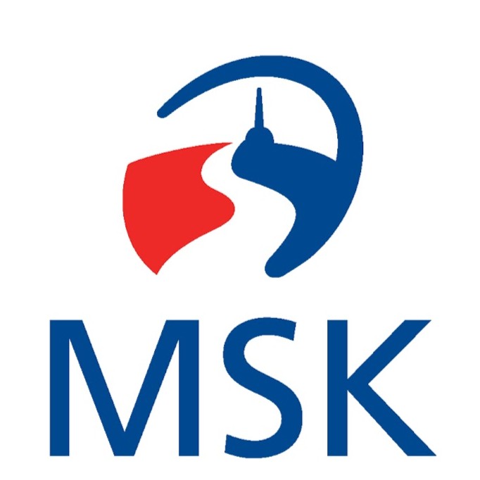 Logo Moravskoslezského kraje